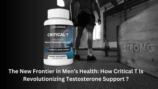 What is Critical T section explaining natural testosterone support supplement